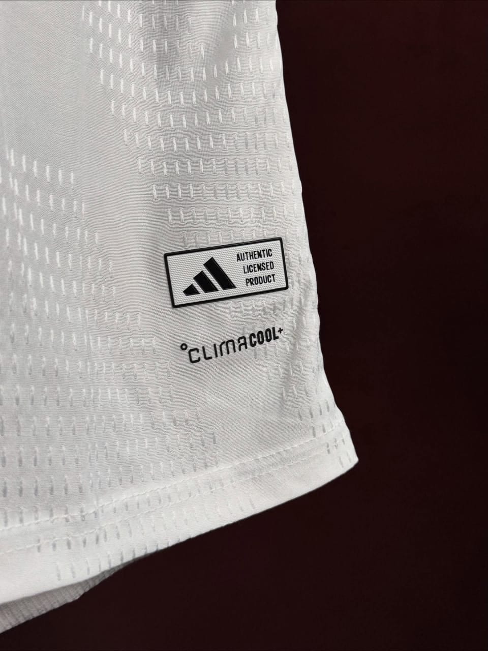 Germany 25/26 Home- Player's Version